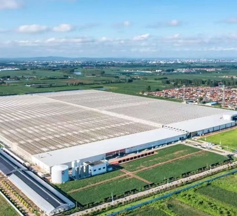 Smart Agriculture Greenhouses
